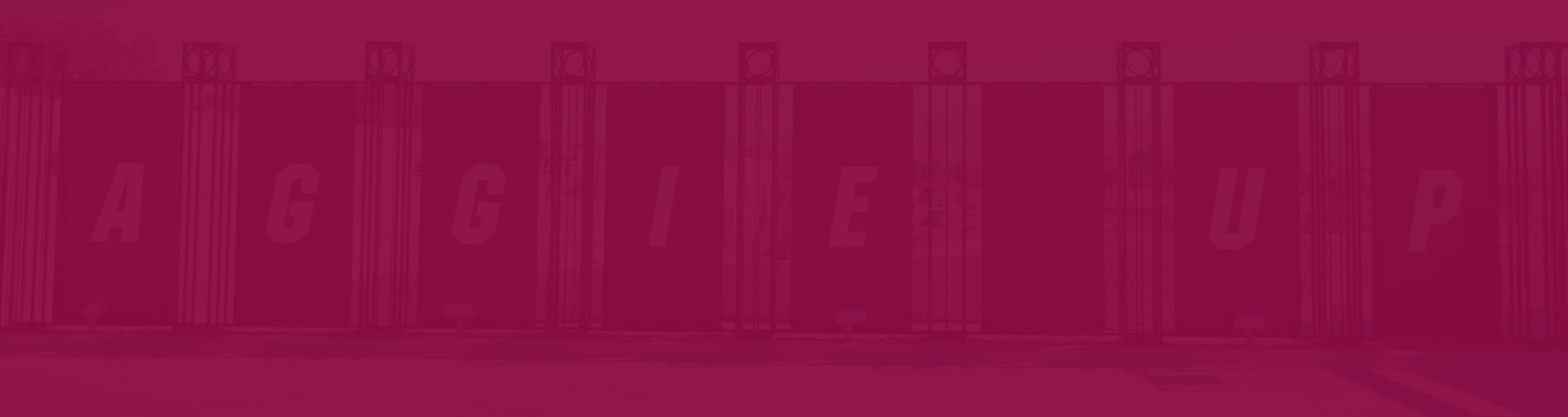 background - Banners spell "Aggie Up" with a crimson overlay