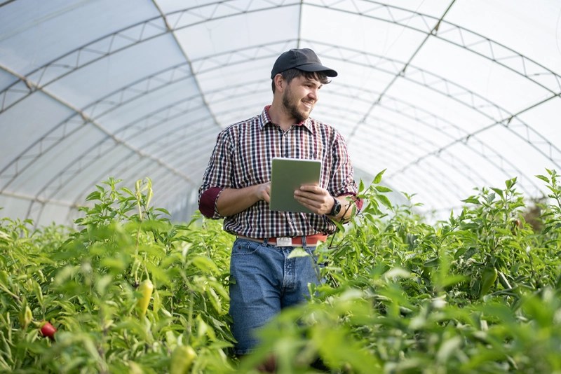 a man working in a greenhouse