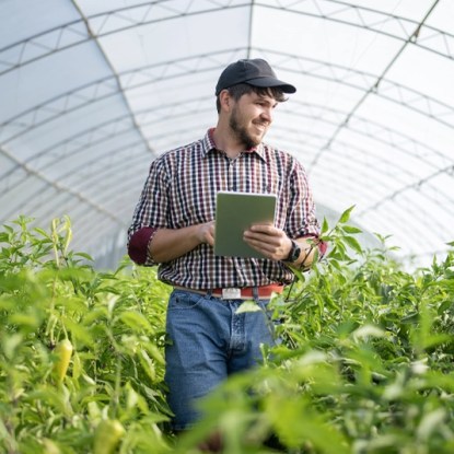 a man working in a greenhouse