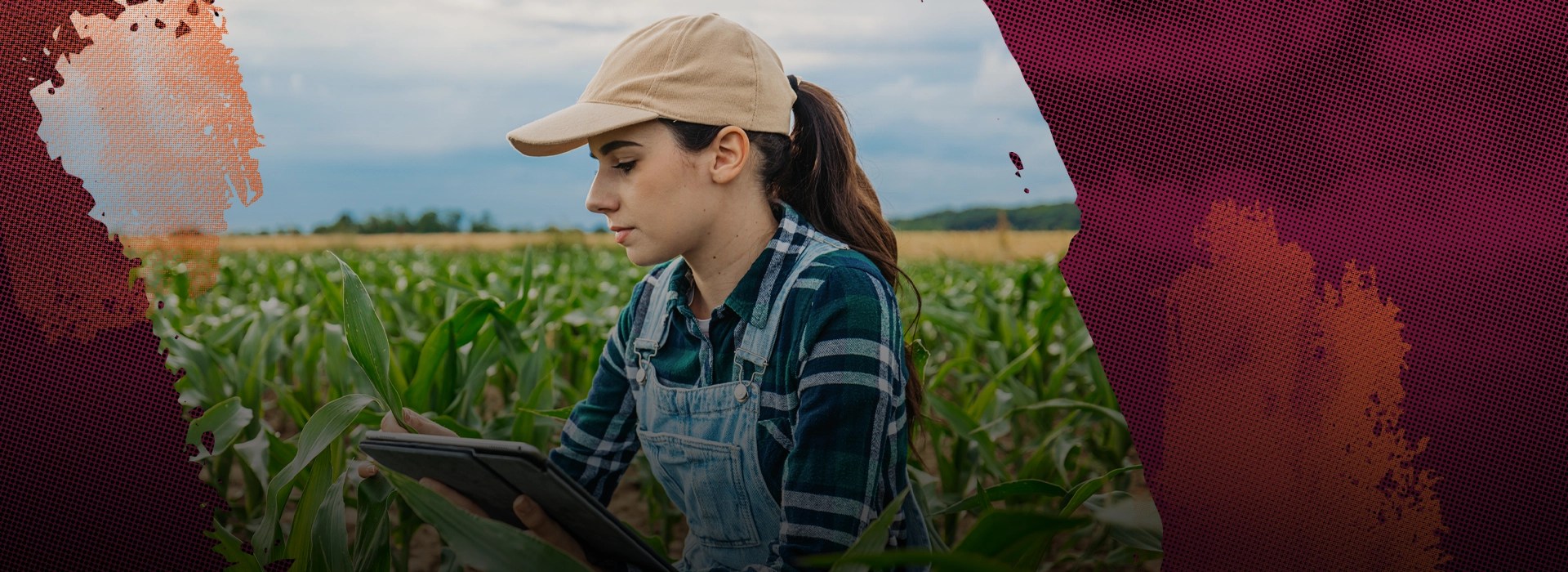 program-hero-Master of Agriculture: Agribusiness