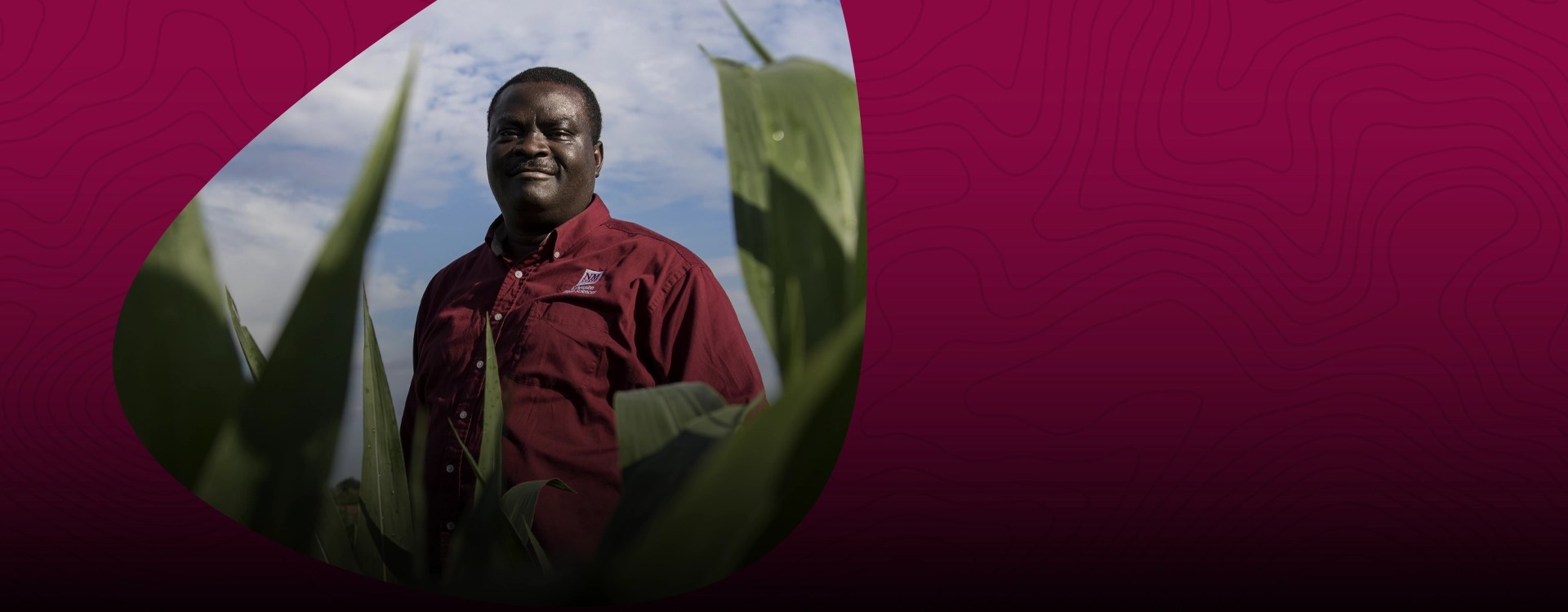 program-hero-Master of Agriculture: Agribusiness