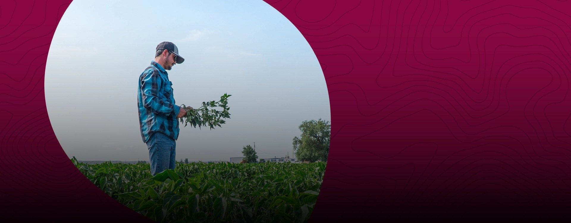 program-hero-Master of Arts in Agricultural and Extension Education