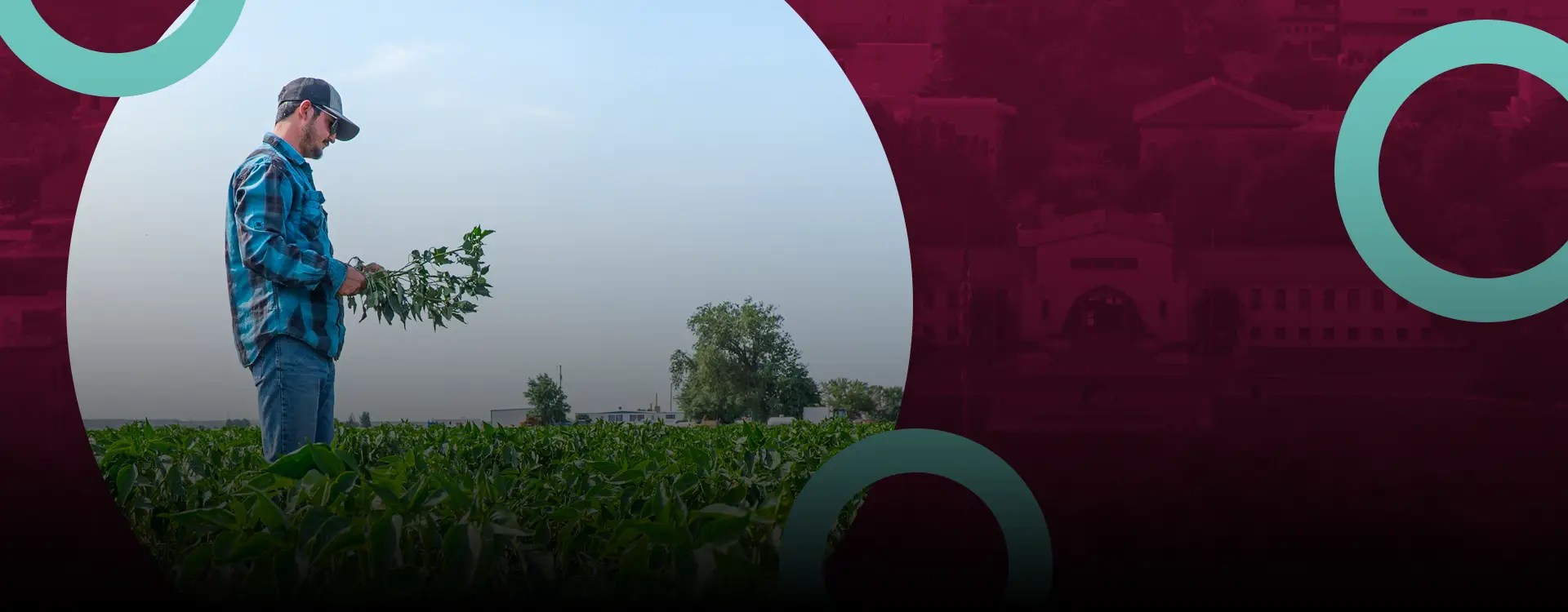 program-hero-Master of Arts in Agricultural and Extension Education