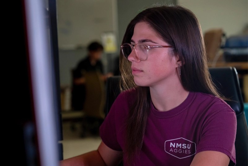NMSU Global Campus student studying engineering online — careers without a PE license