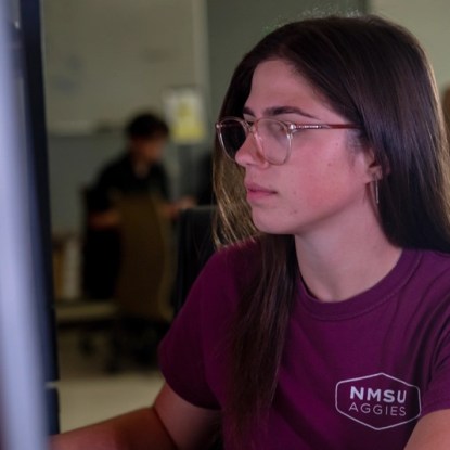 NMSU Global Campus student studying engineering online — careers without a PE license
