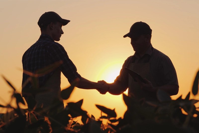 Farmers shaking hands in a field at sunset, representing the online master's in agribusiness at NMSU Global Campus