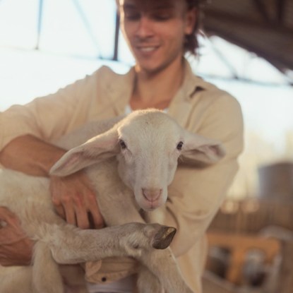 A smiling farmer carries a sheep in his arms — NMSU online master's in domestic animal biology
